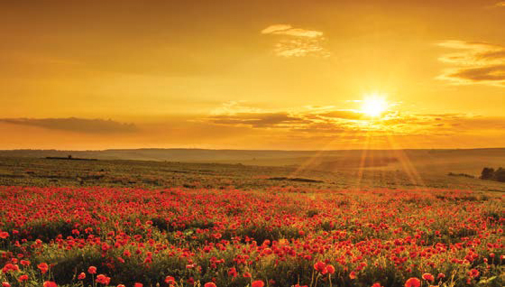 Sun